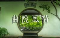 雨中的西湖十景|烟雨中的曲院风荷