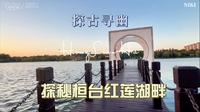 探秘桓台红莲湖，十几年前的一条大水沟，今天变成景点