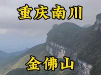 走遍所有5A景区第46站，重庆南川金佛山。