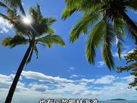 去椰梦长廊正确打开方式