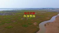 250911辽宁兴城红海栈道4K