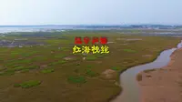 250911辽宁兴城红海栈道4K