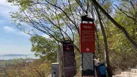 合肥有座四顶山，你爬过吗？今年带你去看看