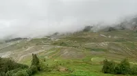 记录多依树梯田