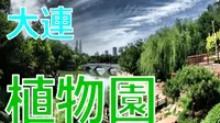 【FHD】大连 植物园 步行视频