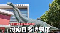 河南自然博物馆，探访藏身郑州闹市里的，史前恐龙秘境，太震撼