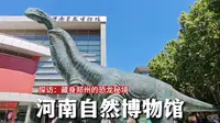 河南自然博物馆，探访藏身郑州闹市里的，史前恐龙秘境，太震撼