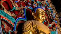 千年古刹灵岩寺，千佛殿、辟支塔，中国最大且唯一的石砌墓塔林，《黑神话：悟空》游戏取景地，“天下四大名刹”之一