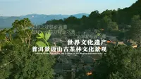 “普洱景迈山古茶林文化景观”项目成功列入《世界遗产名录》
