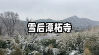 【大高个高高第一人称旅游】雪后潭柘寺太美了，开心！