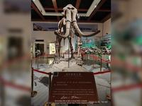 西安高陵奇石博物馆