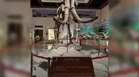 西安高陵奇石博物馆