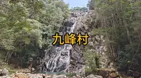 我在九峰村，被中华田园犬领路的一天