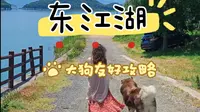 东江湖白廊旅游攻略（大狗友好）