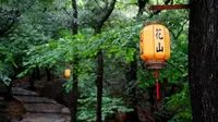 明叔趣谈之苏州花山【一】，有着小黄山之称的花山，清康熙乾隆帝多次驾幸。