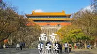 漫步南京明孝陵 | 南京 明孝陵 | 云散步 云旅行 步行POV | 漫游中国 4K60