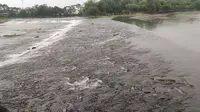 桂林兴安灵渠水