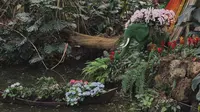 华南植物园