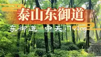 【泰山东御道—中天门徒步Vlog】此间绿意漫卷，藤蔓垂帘如幕，光影斑驳似诗，溪声潺潺，清风拂面