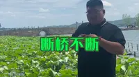 西湖断桥为什么叫断桥？老杭州人也未必知道！