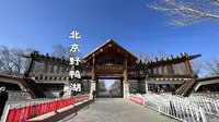 寒风刺骨的北京野鸭湖，冰面自行车不骑都会走，就是游客太少了