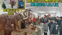 上海首家巧克力博物馆，东西全是巧克力做的，不要门票免费品尝