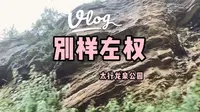 别样晋中左权，太行龙泉森林公园小记