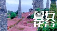 打卡重庆酉阳叠石花谷看粉黛、花花、叠石