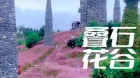 打卡重庆酉阳叠石花谷看粉黛、花花、叠石