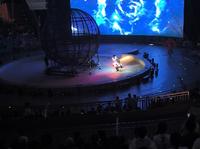 泉州欧乐堡马戏表演之摩托车