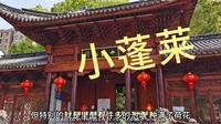 嘉兴小蓬莱景区
