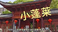 嘉兴小蓬莱景区