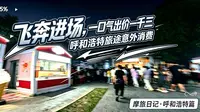 昭君墓捡漏拍下玩偶