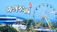 到香港，不去迪士尼也要去香港海洋公园！全球最佳主题公园旅游攻略！
