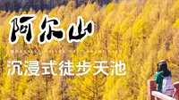 2023阿尔山秋季森林公园｜3小时沉浸式徒步驼峰岭天池～～