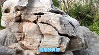 德州市陵城区的颜真卿公园，千年的老城墙还能留在城区不容易！
