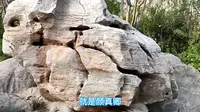 德州市陵城区的颜真卿公园，千年的老城墙还能留在城区不容易！