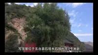 写字崖