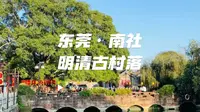 东莞游玩攻略 | 南社·明清古村落喜欢古建筑、壁画、灰塑、木雕、汉服等拍摄取景的朋友快来，公共交通出行的，看到最后可少走弯路