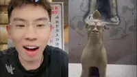 连云港市博物馆亲自带领“听泉版‘镇墓兽与泉哥连麦，现场高能预警！