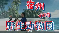 2023.05.20宿州野生动物园一日游，个人觉得很不错！
