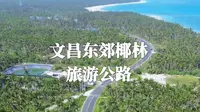 来海南旅游千万别去东郊椰林，一个航拍视频告诉你真像。