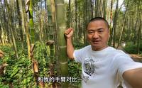 蜀南竹海攻略，吃住行情况，两天一晚该怎么玩？