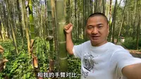 蜀南竹海攻略，吃住行情况，两天一晚该怎么玩？