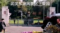 到武汉东湖风景区梨园去逛逛