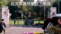 到武汉东湖风景区梨园去逛逛