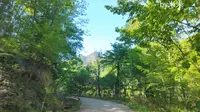 小陇山国家森林公园桃花沟景区