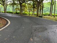 六月初，云天雨霁，游宜兴龙背山森林公园