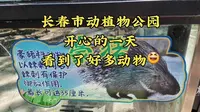 长春市动植物公园｜开心的一天，看到了好多动物😊
