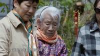 92年前的一则电文，这样描绘立夏节起义后的金寨